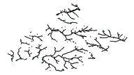 Map layer preview